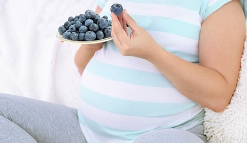آیا خوردن زغال اخته (بلوبری) در دوران بارداری بی خطر است؟