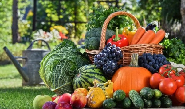 آیا میوه ها می توانند جایگزین سبزیجات در رژیم غذایی روزانه ما شوند؟